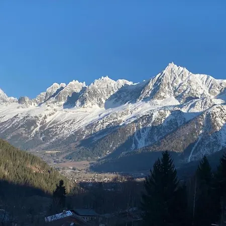 Appartement Aiguilles Private Duplex Les Houches